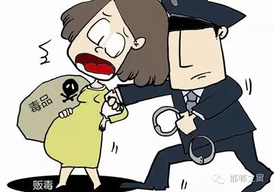 2016年初，涉縣警方查獲一起涉毒案件，鑒于該案涉案人員多、毒品交易量大，涉縣警方立即將案情上報，被公安部確立為“目標-2016-314”號毒品案件。涉縣警方成立專案組，經(jīng)過多方追查，先后抓獲團伙人員13名，繳獲毒品5349克，并查明上線“濮姐”的真實身份為陳某。